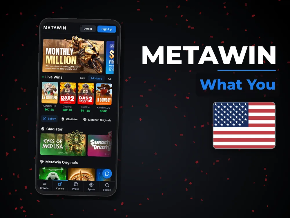 MetaWin - What You