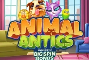 Animal Antics
