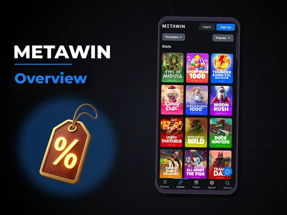 MetaWin - Overview