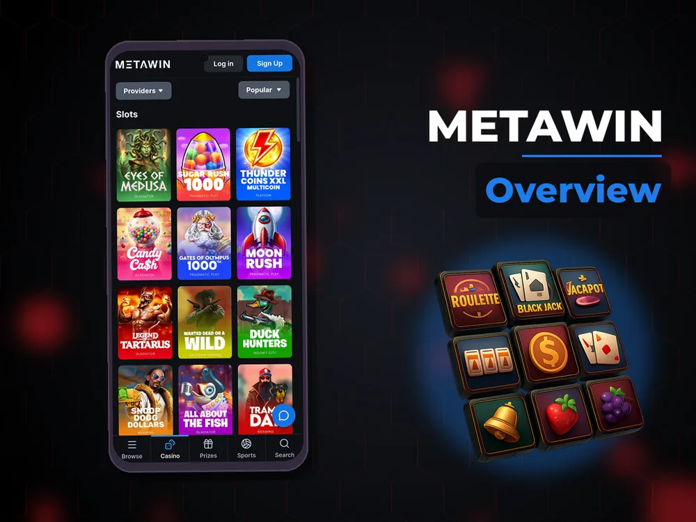 MetaWin - Overview